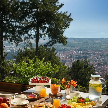 Pensjonat Ktima Faki, The One & Only Destination On Mount Olympus Litochoro