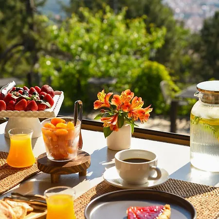 Ktima Faki, The One & Only Destination On Mount Olympus