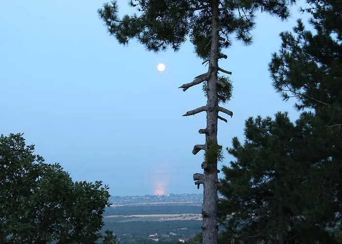 Ktima Faki, Olympus Mountain & Retreat בית הארחה ליטוחורון